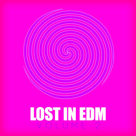 VA - Lost In EDM Vol. 2 (2020)