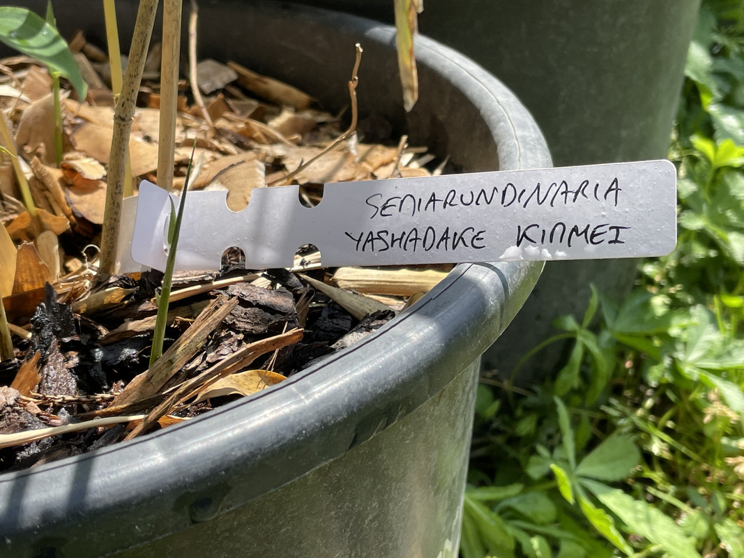 704A222C-8745-4C05-9F43-E3BD6375DA97