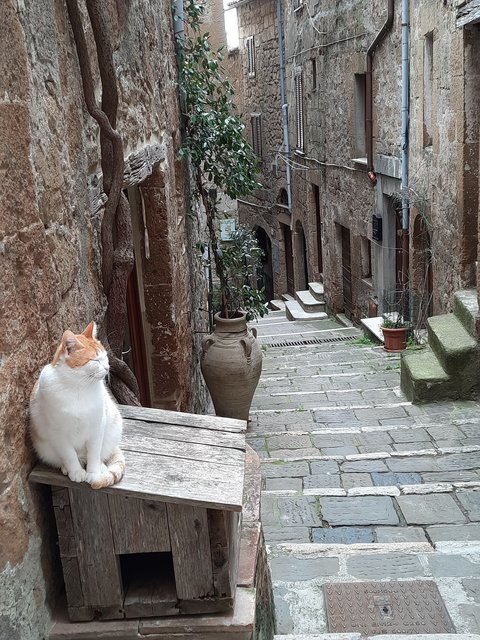DIA 7. FRANCESCA Y TODO LO QUE PASO DESPUES: PITIGLIANO, SOVANA Y CORTONA. - Respirar y saborear la Toscana. 9 días (2)