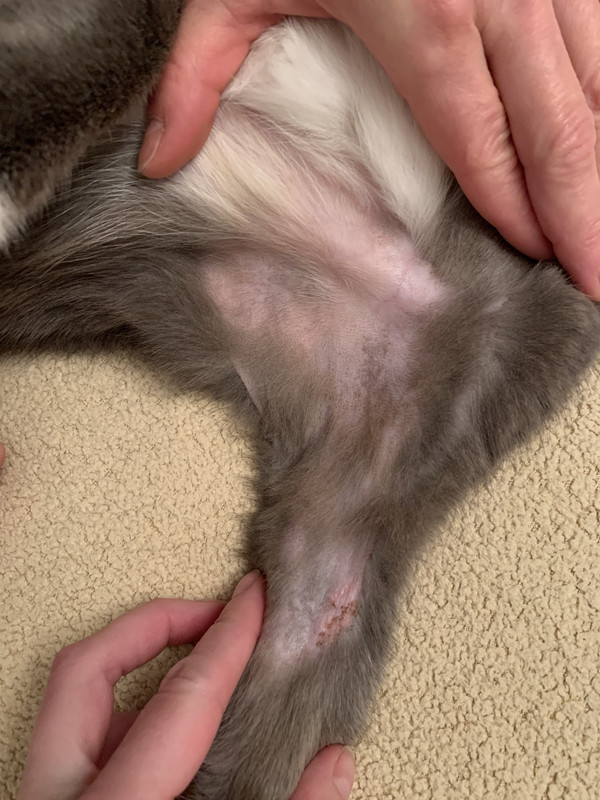 903D2232-23F1-453A-B8A1-711C7F49B2B6