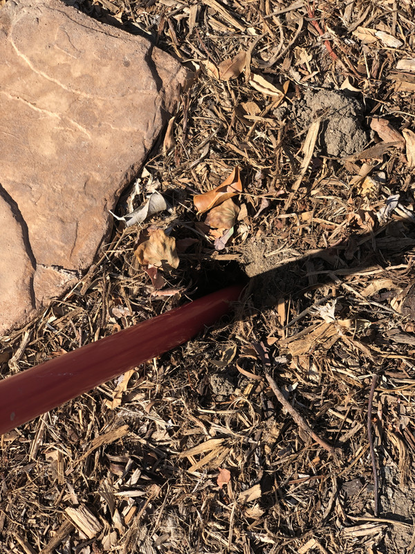 19F9A45C-D5F9-4751-A221-1AC6F9733470