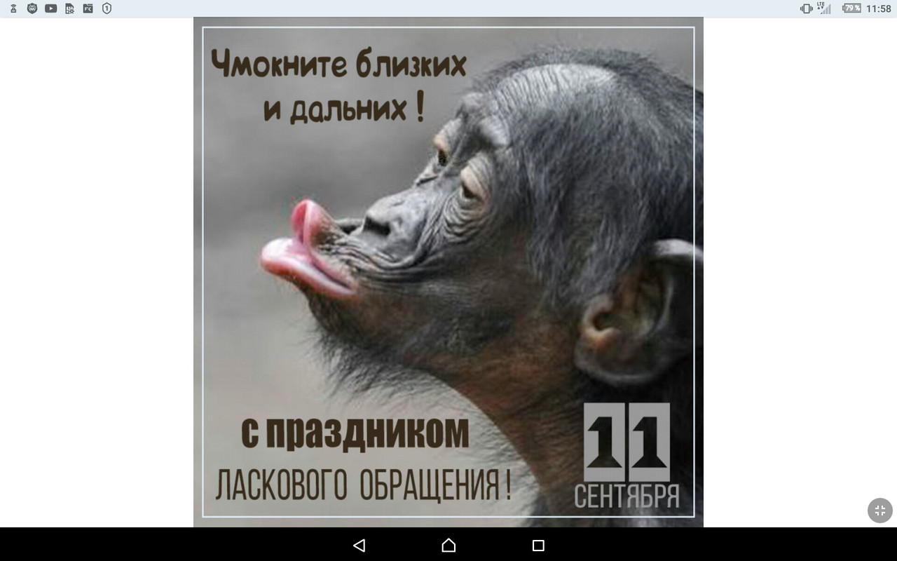 Screenshot_2022-09-11-11-58-11