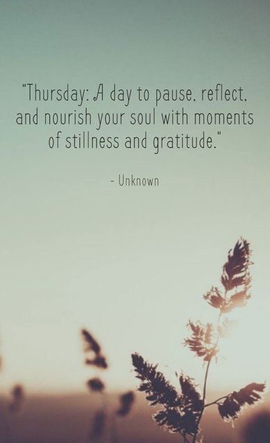 3193C151-2B70-4C2D-ABE9-E57336443086