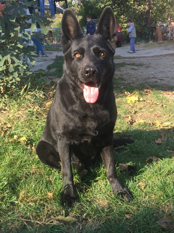 203A7AAF-5971-4FC3-82FE-835F9F1DBB5A