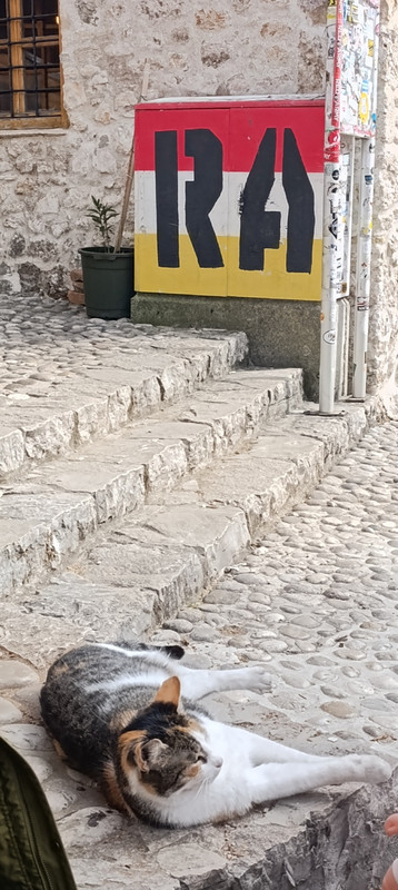 IMG 20260913 192802