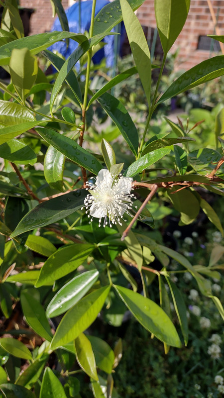 IMG_20240507_075827009_HDR