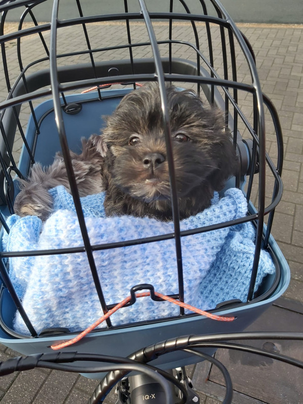 D9B64E79-61C0-406E-98C5-593B6CAA5F38