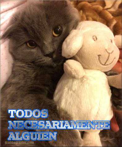 Cats-NEED
