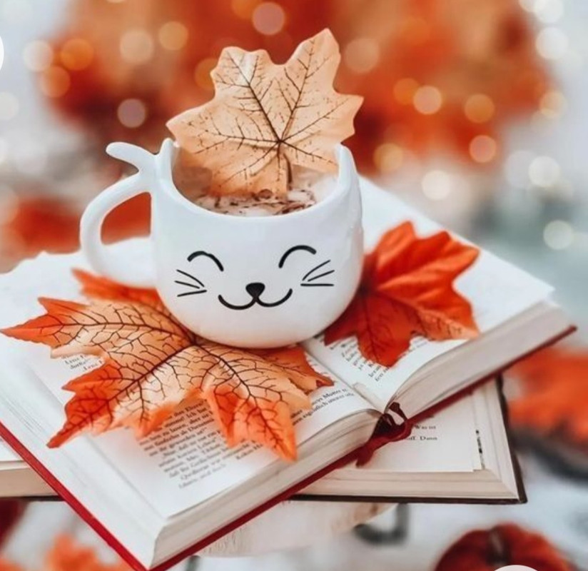 Screenshot_20221214-001807_Chrome