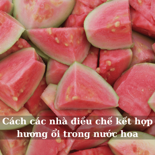 [Image: dieu-che-nuoc-hoa-huong-oi.png]