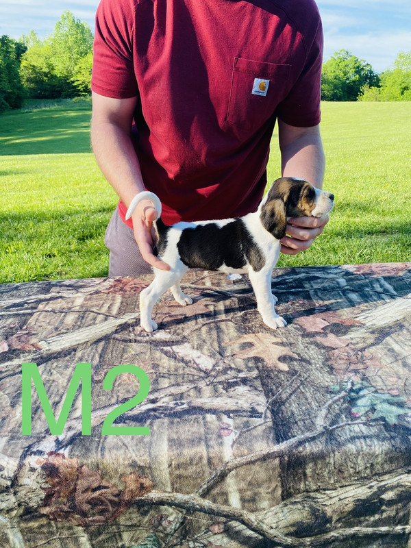 CBF42A04-1C6C-46F9-9B4C-9EB3D5124582