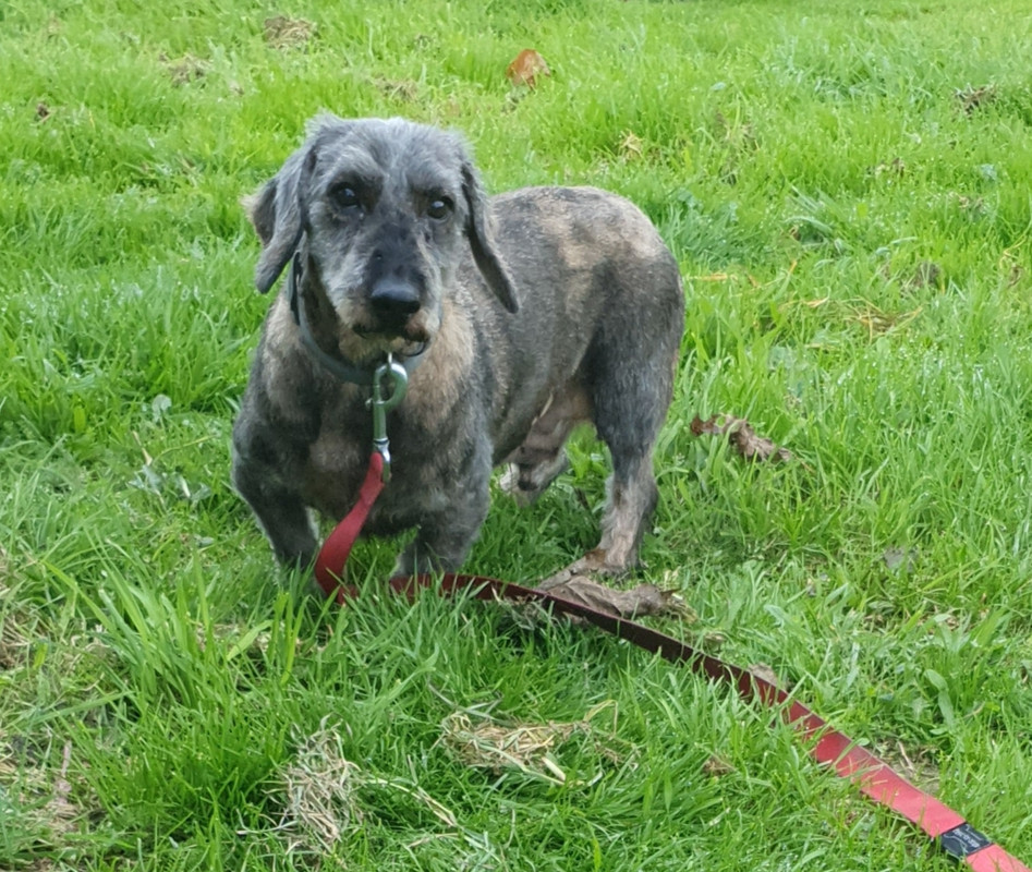 [Image: 20221103-104923.jpg]