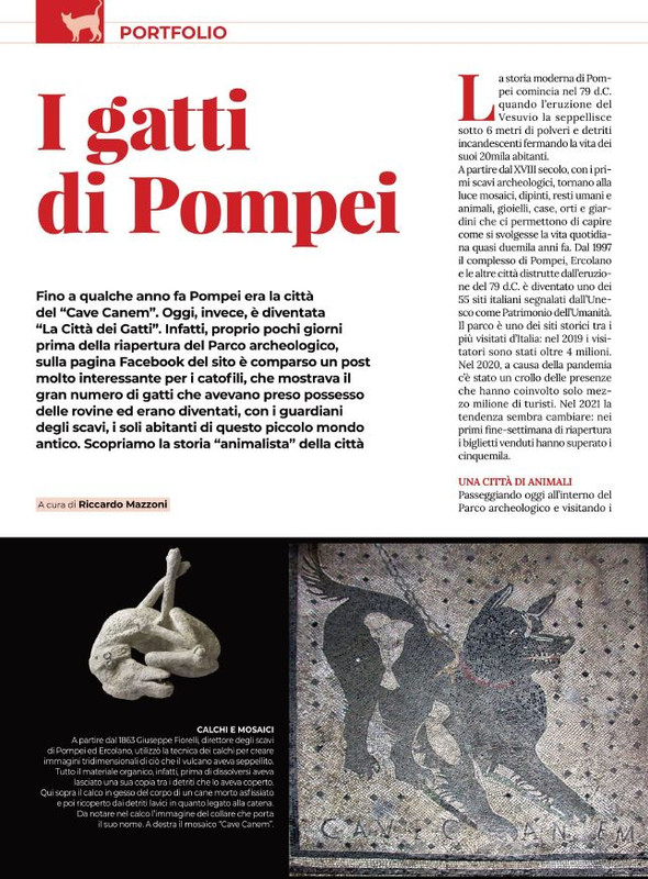 Ga Ma Ago-Set  2021 (5)