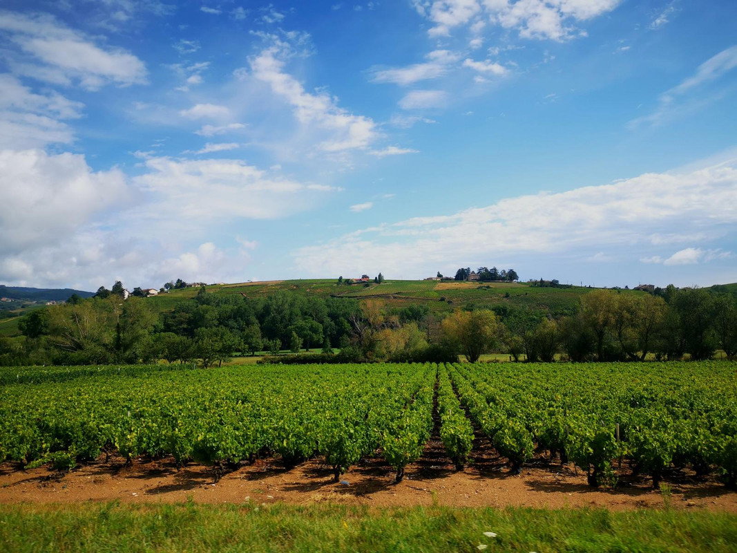 Bourgogne2019 (22).jpg.1