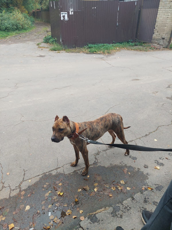 BC4E731B-3813-45C3-A1B4-25DEEC4E8AAA