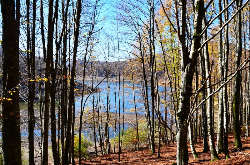 SELVA DE IRATI-14-11-2015-NAVARRA - Paseando por España-1991/2015-Parte-1 (58)