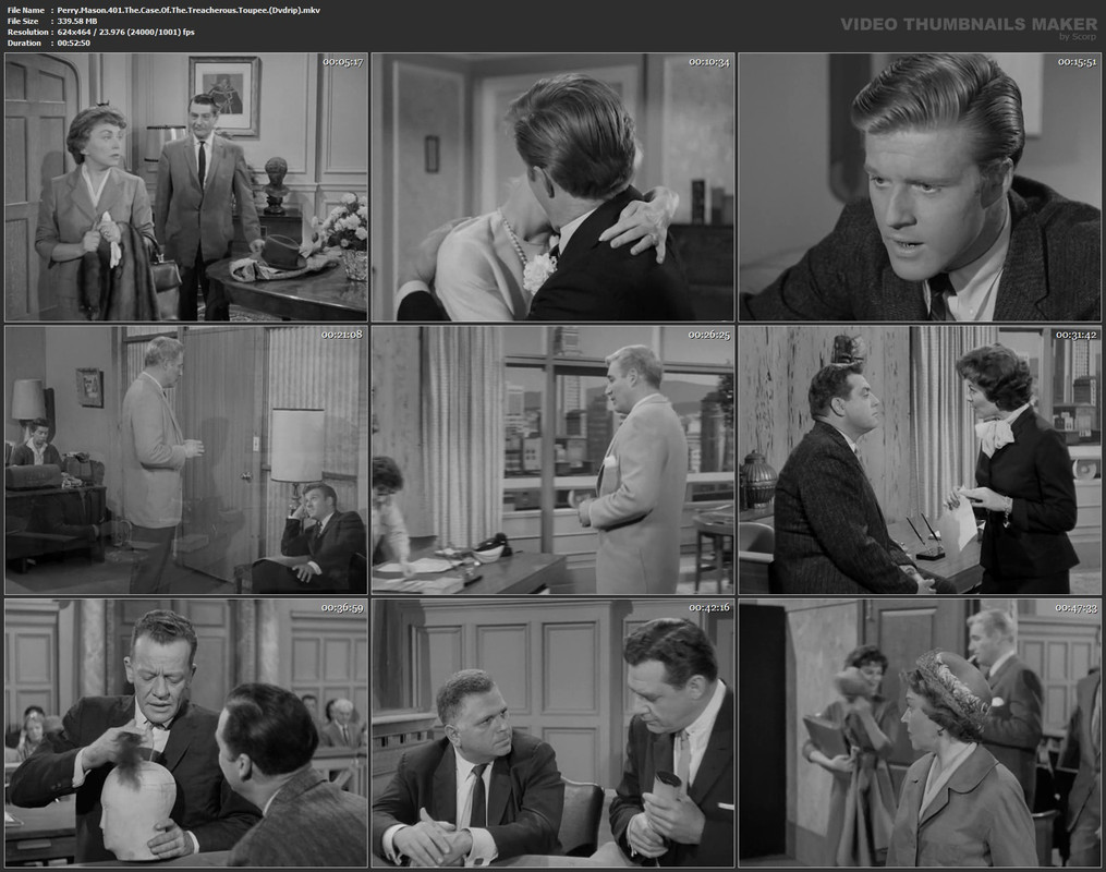 Perry.Mason.401.The.Case.Of.The.Treacherous.Toupee.(Dvdrip).mkv