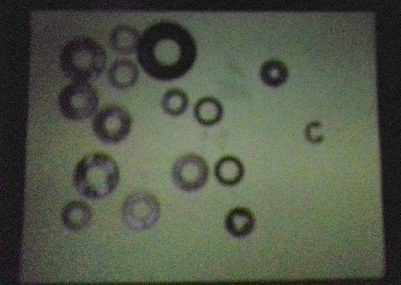 [Bild: 20260413-142117.jpg]