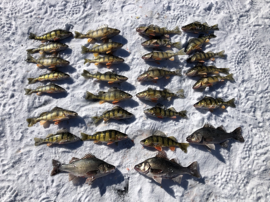 EF6E90B8-91B0-4D96-87EF-80CE50866182