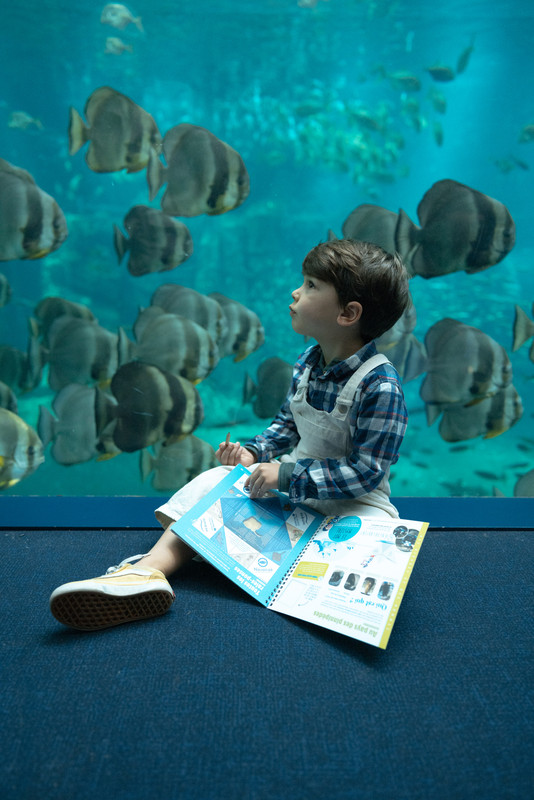 Carnet educatif-H-Lamblin-Iconocom (5)