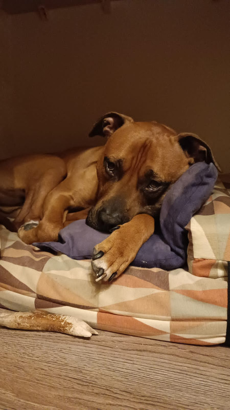 D615352C-2FBE-410D-B4B2-F536CB489A08