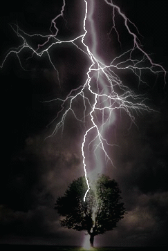 mdg-0245-8942--70-[1]