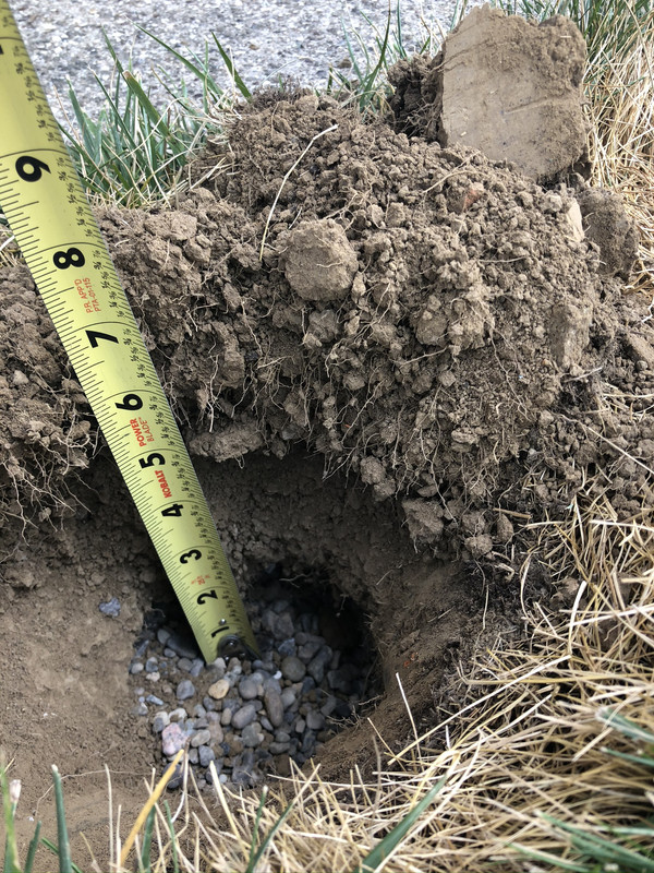 20+ Dead Grass Over Sewer Line