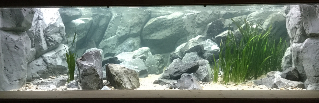 3949E231-4C80-4980-9845-2E7810D19108