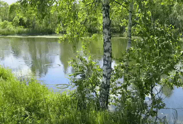 https://i.postimg.cc/htSYKFWC/image.gif