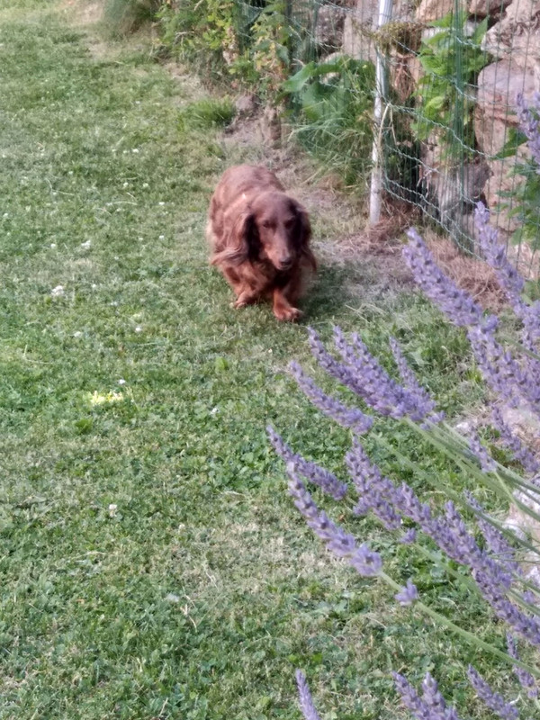 [Image: IMG-20200714-111028.jpg]