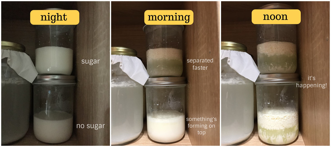 happening-of-milk-curd-rice-wash.jpg