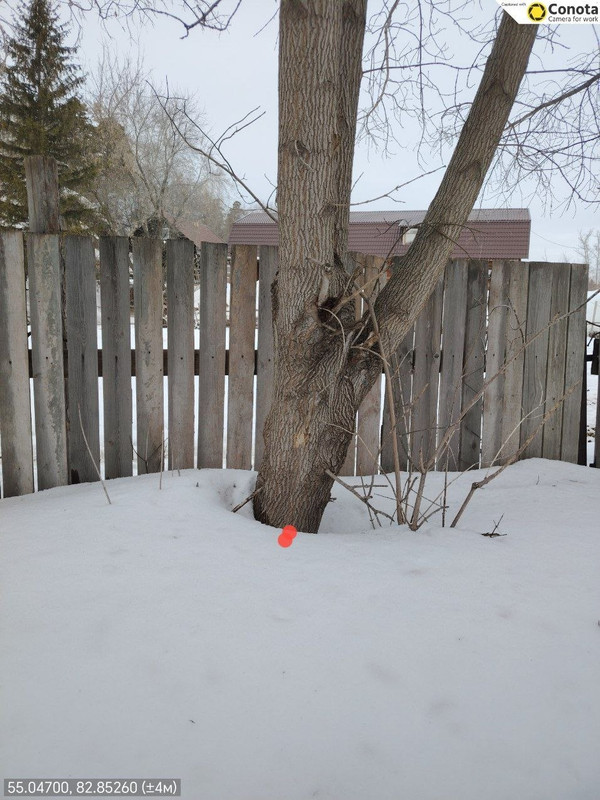 photo 2026 03 23 09 18 04