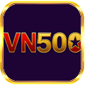 vn500