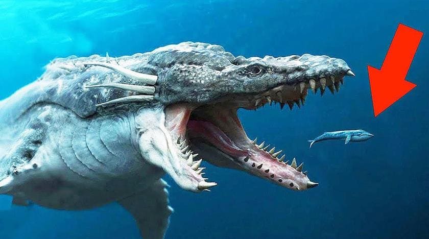 Неведомые морские создания - свидетельства и интересные факты Неведомые морские создания - свидетельства и интересные факты