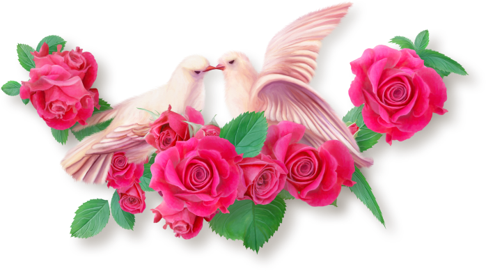 LoveBirdsCluster