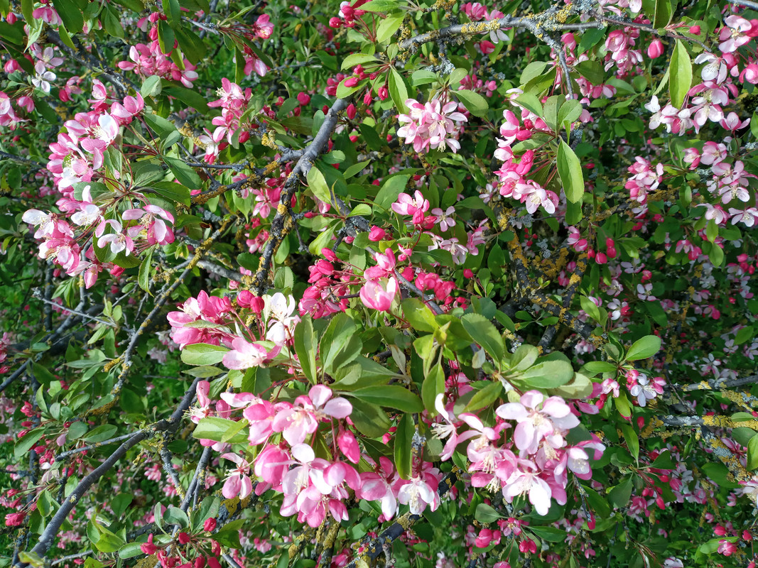 [Image: 20220411-172540.jpg]