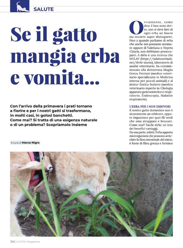 Ga Ma Feb-Mar 2022 (7)