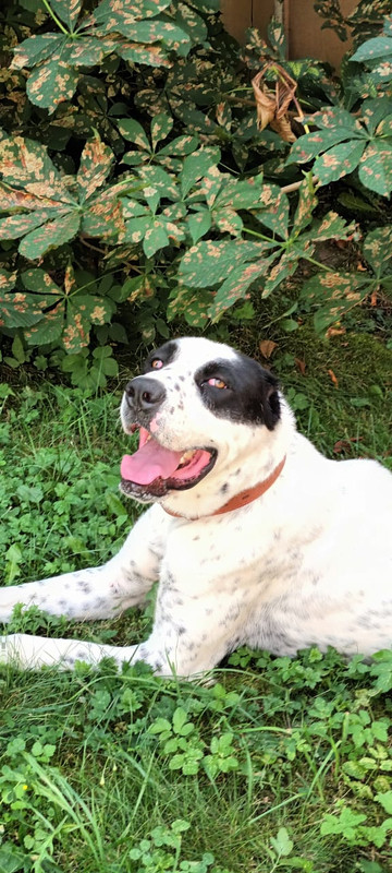 907F5F90-E9F3-4EF8-A07F-BC91B1FDADA1