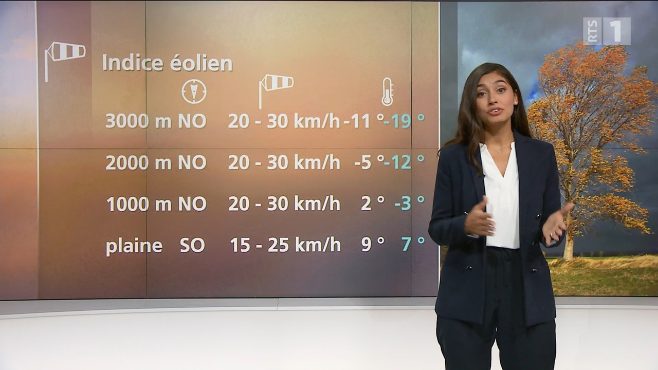 2021-11-03_20_05_RTS1_Meteo.mp4_snapshot_08.46.196
