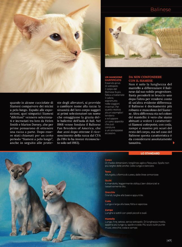 Ga Ma Dic 2021-Gen 2022 (6)