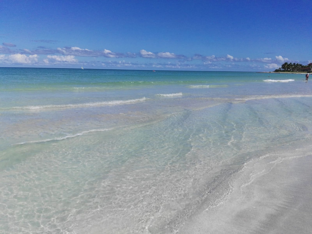 Algas en las playas de Cuba (Sargazo) - Forum Caribbean: Cuba, Jamaica