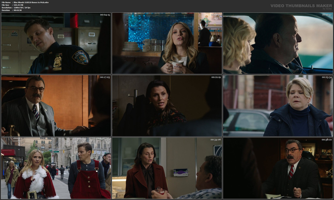 Blue Bloods S10E10 Bones to Pick.mkv
