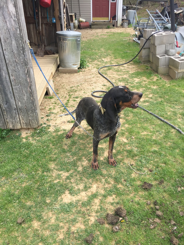 439D3225-F16A-42F8-B216-8D8BB92A05DC