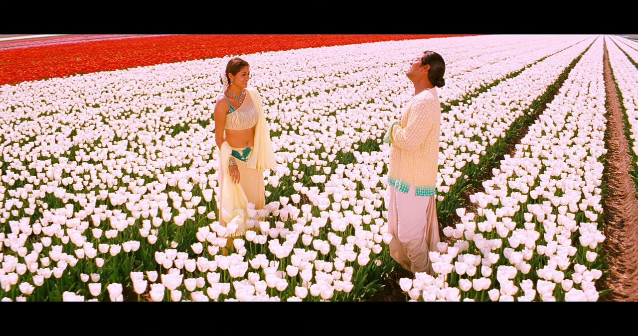 VideoCapture_20241122-195645