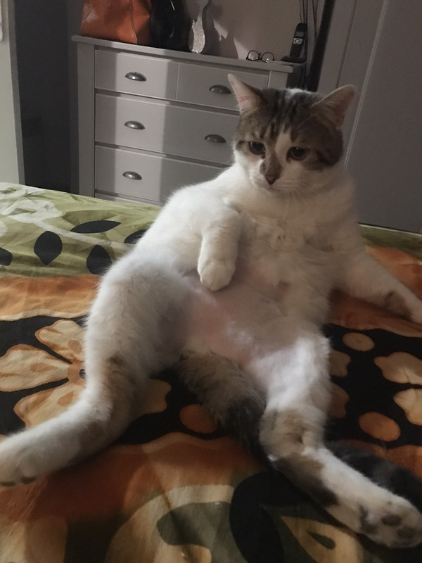 3208678A-9896-4A2B-BF89-471DD0452E85