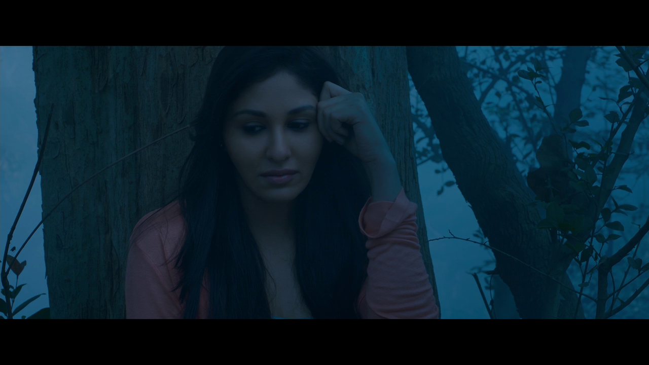 vlcsnap 2026 02 27 19h25m11s266