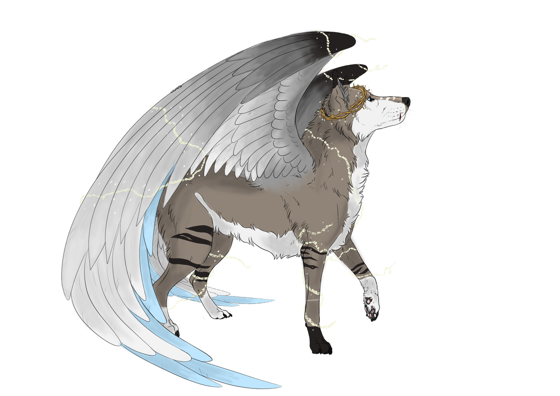 Transparent.png