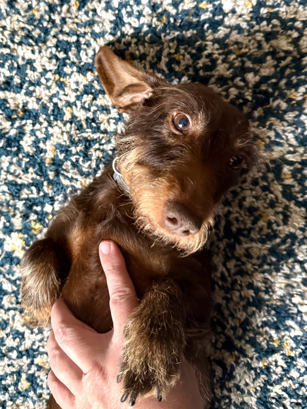 [Image: IMG-3247.jpg]