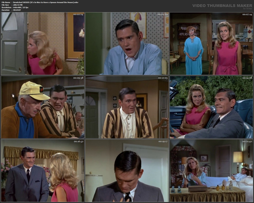 Bewitched S05E05 (It's So Nice to Have a Spouse Around the House).mkv