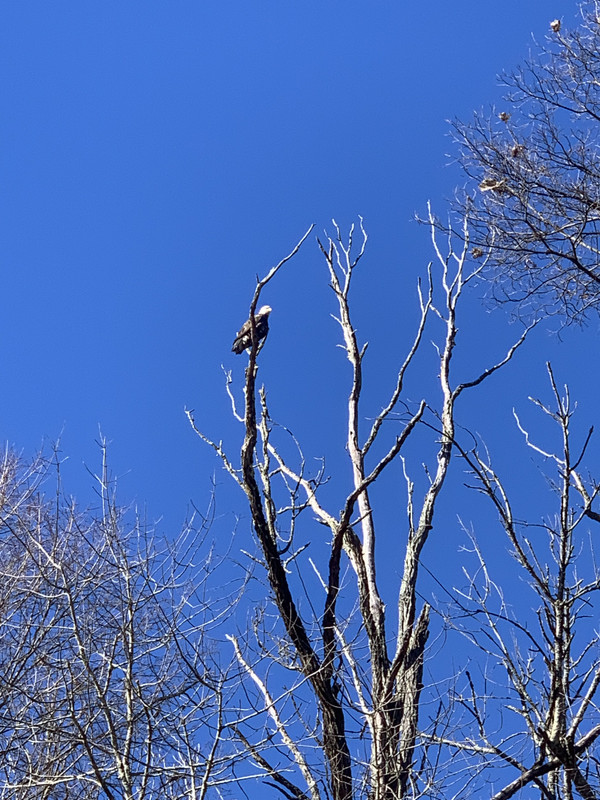 CE347B75-094B-4AA1-86ED-DA96763FE84B